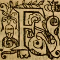 An illustration from Special and chosen sermons of D. Martin Lvther, collected ovt of his writings and preachings for the necessary instruction and edification of such as hunger and seeke after the perfect knowledge and inestimable glorie which is in Christ Iesu, to the comfort and saluation of their soules (1578)