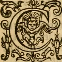 An illustration from Special and chosen sermons of D. Martin Lvther, collected ovt of his writings and preachings for the necessary instruction and edification of such as hunger and seeke after the perfect knowledge and inestimable glorie which is in Christ Iesu, to the comfort and saluation of their soules (1578)