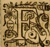 An illustration from Special and chosen sermons of D. Martin Lvther, collected ovt of his writings and preachings for the necessary instruction and edification of such as hunger and seeke after the perfect knowledge and inestimable glorie which is in Christ Iesu, to the comfort and saluation of their soules (1578)