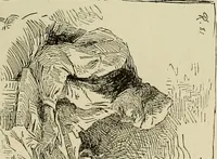 An illustration from Special exhibition of paintings by American artists at home and in Europe, Nov. 7-Dec. 26 : illustrated catalog (1881)