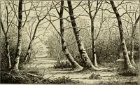 An illustration from Special exhibition of paintings by American artists at home and in Europe, Nov. 7-Dec. 26 : illustrated catalog (1881)