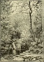 An illustration from Special exhibition of paintings by American artists at home and in Europe, Nov. 7-Dec. 26 : illustrated catalog (1881)