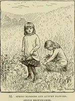 Picture 35 of 75 from Special exhibition of paintings by American artists at home and in Europe, Nov. 7-Dec. 26 : illustrated catalog (1881), leaf 58