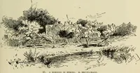 Picture 44 of 75 from Special exhibition of paintings by American artists at home and in Europe, Nov. 7-Dec. 26 : illustrated catalog (1881), leaf 68