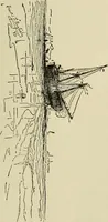 An illustration from Special exhibition of paintings by American artists at home and in Europe, Nov. 7-Dec. 26 : illustrated catalog (1881)