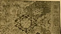 An illustration from Special list of fine Persian rugs : in carpet sizes over ten feet in length. (1913)