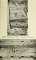 An illustration from Special report of the Merchants' Association Bureau of Inspection : showing difficulties encountered with specifications in work on public buildings (1910)