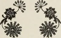 An illustration from Specimen book and catalog : a price list of printers' supplies .. (1907)