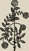 Picture 38 of 132 from Specimen book and catalog : a price list of printers' supplies .. (1907), leaf 185