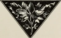 An illustration from Specimen book and catalog : a price list of printers' supplies .. (1907)