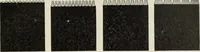 Picture 132 of 132 from Specimen book and catalog : a price list of printers' supplies .. (1907), leaf 244