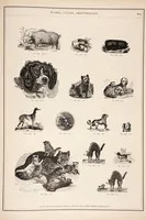Picture 8 of 12 from Specimen book of electrotypes comprising Pacific coast scenery, general illustrations, trade cuts, advertising novelties, &c. furnished by the Pacific press publishing house ...Oakland, Cal. (1885), leaf 210