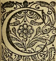 An illustration from Specimen calumniarum atque heterodoxarum opinionum ex Remonstrantium apologia excerptarum : instar prodromi ad praemonendos omnes veros Christianos in lucem emissum (1630)
