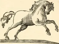 An illustration from A specimen of printing types (1798)