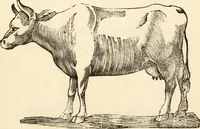 An illustration from A specimen of printing types (1798)