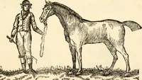 An illustration from A specimen of printing types (1798)