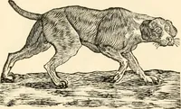 An illustration from A specimen of printing types (1798)