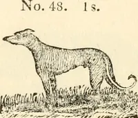 An illustration from A specimen of printing types (1798)