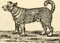 An illustration from A specimen of printing types (1798)