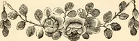 An illustration from A specimen of printing types (1798)