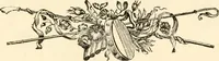 An illustration from A specimen of printing types (1798)