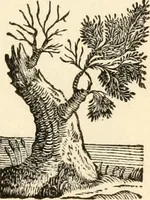 An illustration from A specimen of printing types (1798)