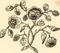 An illustration from A specimen of printing types (1798)