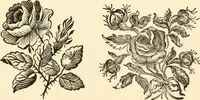 An illustration from A specimen of printing types (1798)