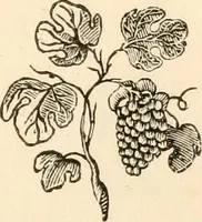 An illustration from A specimen of printing types (1798)