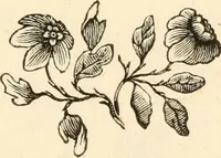 An illustration from A specimen of printing types (1798)