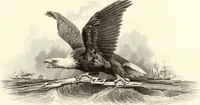 An illustration from Specimens (1877)