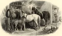 An illustration from Specimens (1877)