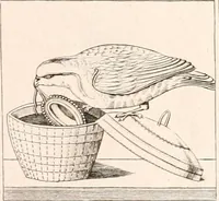 An illustration from Specimens from the Naples Museum : one hundred and sixty-eight plates, engraved on copper by the best Italian artists, illustrating four hundred and sixty-six objects from every branch of art and archaeology (1889)
