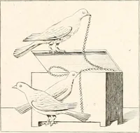 An illustration from Specimens from the Naples Museum : one hundred and sixty-eight plates, engraved on copper by the best Italian artists, illustrating four hundred and sixty-six objects from every branch of art and archaeology (1889)