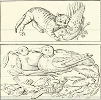 An illustration from Specimens from the Naples Museum : one hundred and sixty-eight plates, engraved on copper by the best Italian artists, illustrating four hundred and sixty-six objects from every branch of art and archaeology (1889)