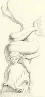 An illustration from Specimens from the Naples Museum : one hundred and sixty-eight plates, engraved on copper by the best Italian artists, illustrating four hundred and sixty-six objects from every branch of art and archaeology (1889)
