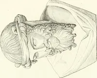 An illustration from Specimens from the Naples Museum : one hundred and sixty-eight plates, engraved on copper by the best Italian artists, illustrating four hundred and sixty-six objects from every branch of art and archaeology (1889)