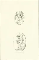 An illustration from Specimens from the Naples Museum : one hundred and sixty-eight plates, engraved on copper by the best Italian artists, illustrating four hundred and sixty-six objects from every branch of art and archaeology (1889)