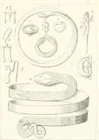 An illustration from Specimens from the Naples Museum : one hundred and sixty-eight plates, engraved on copper by the best Italian artists, illustrating four hundred and sixty-six objects from every branch of art and archaeology (1889)
