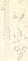 An illustration from Specimens of the architecture of Normandy, from the 16th to the 17th century. Engraved by John and Henry Le Keux (1874)