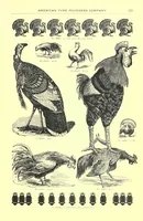 An illustration from Specimens of borders and ornaments, cuts, and brass rules, and illustrated catalogue and price list of printing material and printers' supplies (1903)