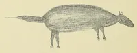 Picture 1 of 5 from Specimens of Bushman folklore (1911), leaf 270