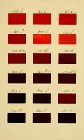 An illustration from Specimens of colors from T. Fewster & Son, manufacturers of varnishes, patent dryers. (1845)