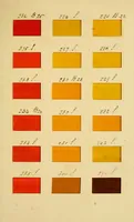 An illustration from Specimens of colors from T. Fewster & Son, manufacturers of varnishes, patent dryers. (1845)