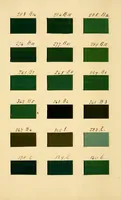 Picture 11 of 14 from Specimens of colors from T. Fewster & Son, manufacturers of varnishes, patent dryers. (1845), leaf 18