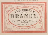 An illustration from Specimens of druggists' labels...letter-press printing, etc (1885)