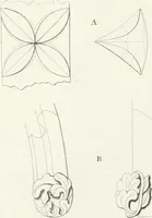 An illustration from Specimens of Gothic architecture; selected from various antient[!] edifices in England: consisting of plans, elevations, sections, and parts at large ... accompanied by historical and descriptive accounts (1823)
