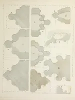 An illustration from Specimens of Gothic architecture : selected from various ancient edifices in England : consisting of plans, elevations, sections, and parts at large, calculated to exemplify the various styles, and the practical construction of this admired class of architecture (1825)