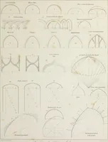 Picture 2 of 60 from Specimens of Gothic architecture : selected from various ancient edifices in England : consisting of plans, elevations, sections, and parts at large, calculated to exemplify the various styles, and the practical construction of this admired class of architecture (1825), leaf 74