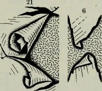 An illustration from Specimens of type, borders, ornaments, brass rules and cuts, etc. : catalogue of printing machinery and materials, wood goods, etc (1897)